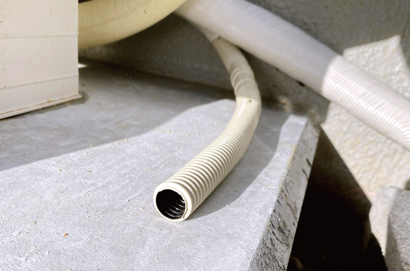 ドレインホースには虫除けのドレインキャップを！ コダテ生活